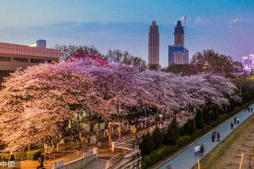 吃瓜群众抖音网红旅游,吃瓜群众眼中的旅游新风尚