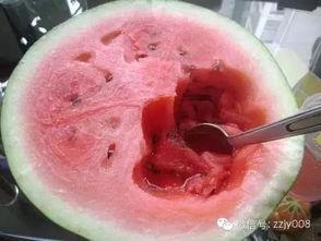 网红瓜勺子挖着吃的视频,趣味视频引网友热议