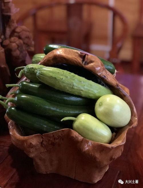 吃西湖瓜的网红是谁,探寻夏日消暑新宠