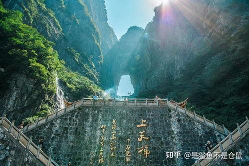 张家界网红吃瓜事件真相,揭秘背后的真相与争议