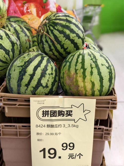 吃瓜网朝阳区,吃瓜网带你探秘京城繁华之地”