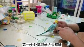 栗子吃瓜娱乐,揭秘娱乐圈幕后趣事