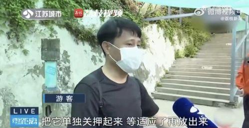 余姚吃瓜网红富二代是谁,吃瓜背后的故事