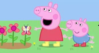 网红猪吃瓜,揭秘网络红人的幕后生活